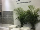 Skarlis Marble